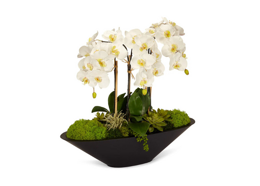 Canoa con orquídeas blancas