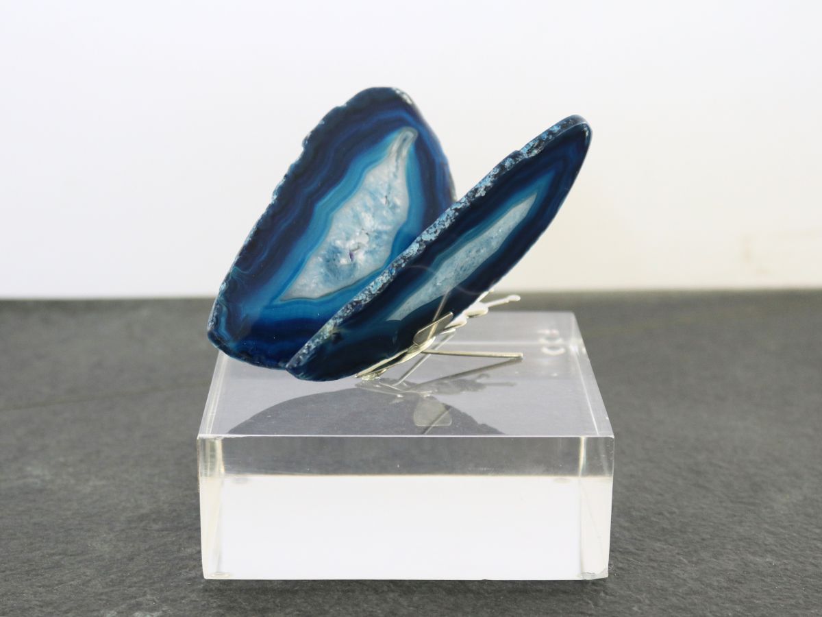 Mariposa agata azul